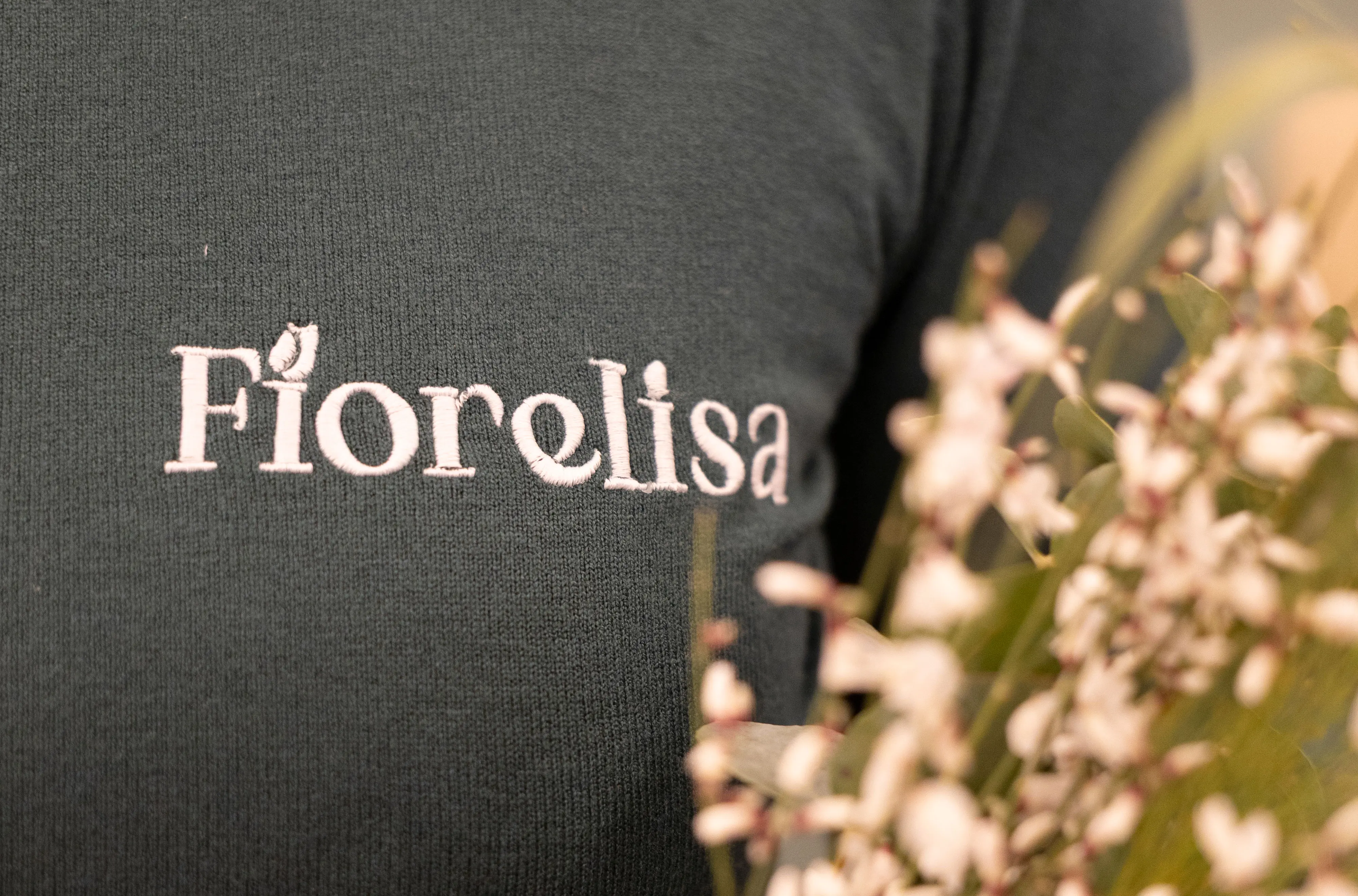 Rebrand Fiorelisa